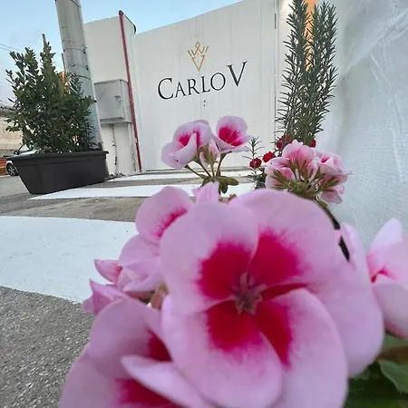 Bed & Breakfast Carlo V - *