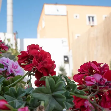 Bed & Breakfast Carlo V - *